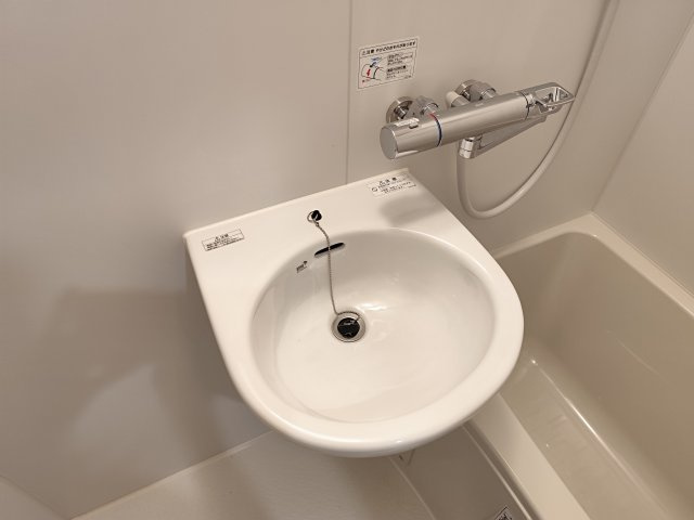 サザンロード新小岩Ⅱの洗面所