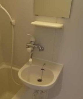 ダイホープラザ入谷の洗面所