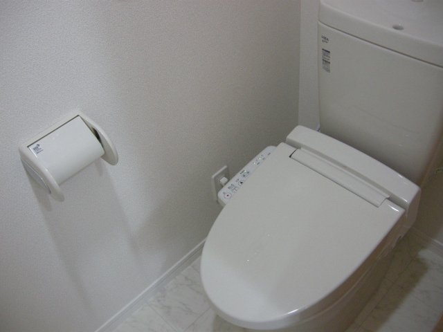 シェルベール伍番館のトイレ
