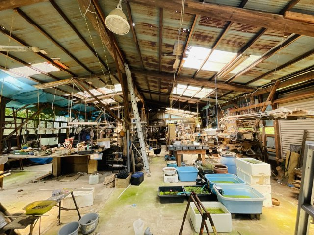 【その他】 | 揖保郡太子町東南/中古倉庫作業場