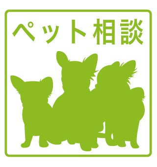 【その他】 | グランシェイド二番町