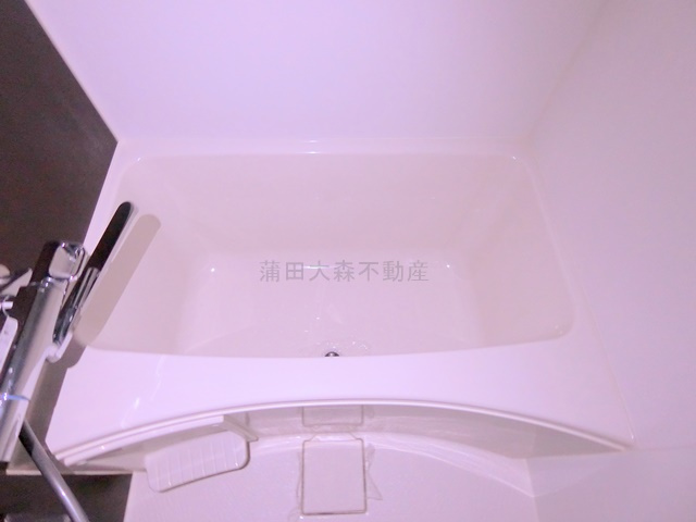 クオリタス品川南の浴室