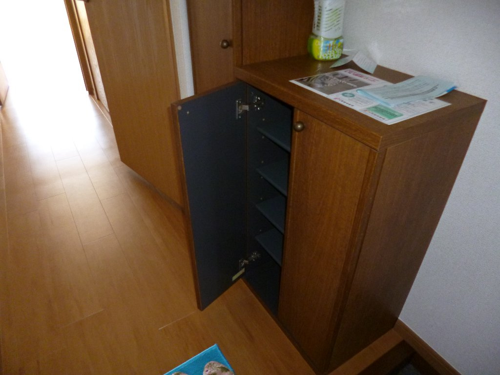 リーベルヴィレッジの内装|シューズボックス