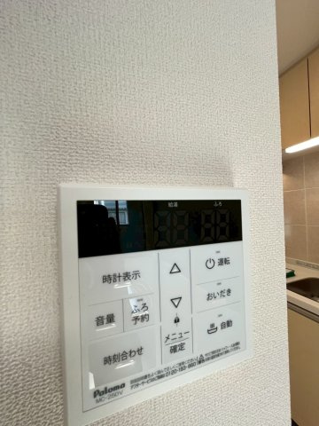 Ms鳳のその他