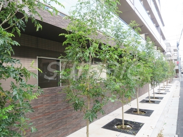 北区赤羽西６丁目の賃貸マンションのその他|統一されたおしゃれな植栽です！