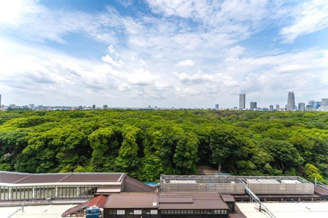 ウィズ原宿レジデンスの展望