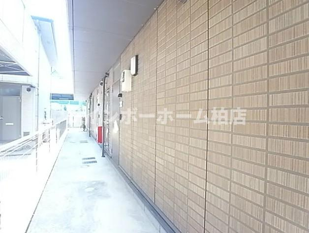 【仲介手数料：50％OFF】対象物件！のエントランス