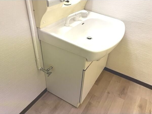 田代マリンハイツの洗面所