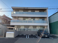 ShamaisonLeoneの画像