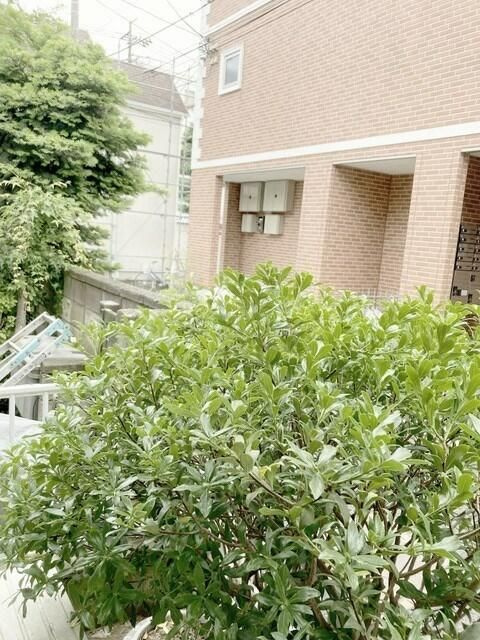 すみれハウスの展望