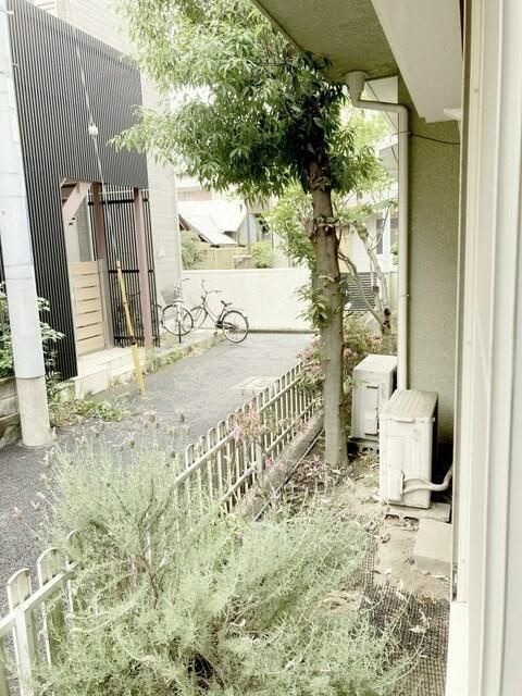 すみれハウスの展望