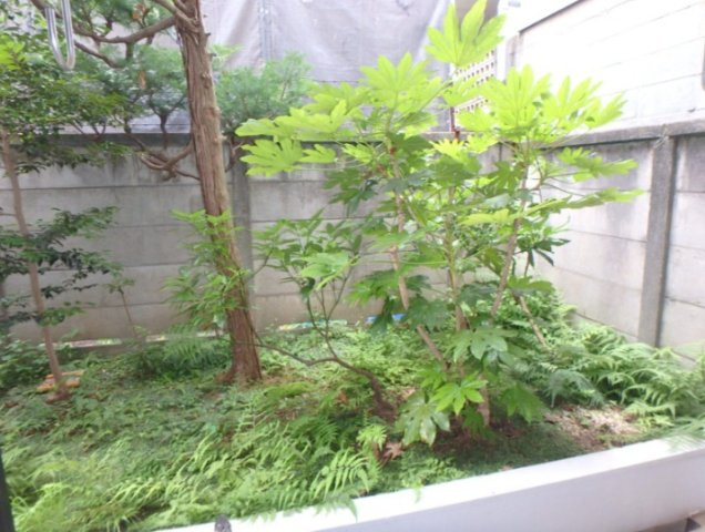 セントラルプラザ学芸大学 のバルコニー