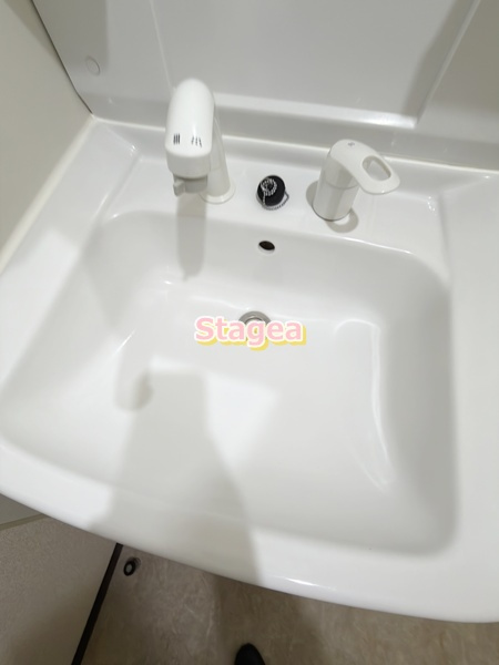 レオネクストタウンコートⅢの洗面所