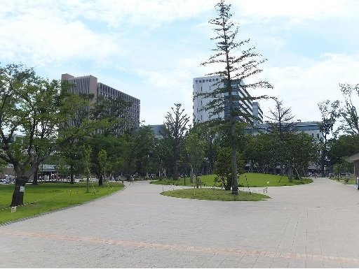 ハイム桃園の周辺