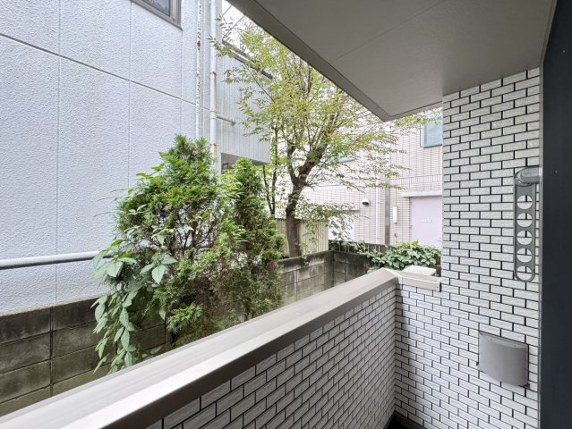 Glycineの展望