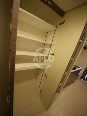 ジアコスモ難波南の収納|ジアコスモ難波南　ＳＢ