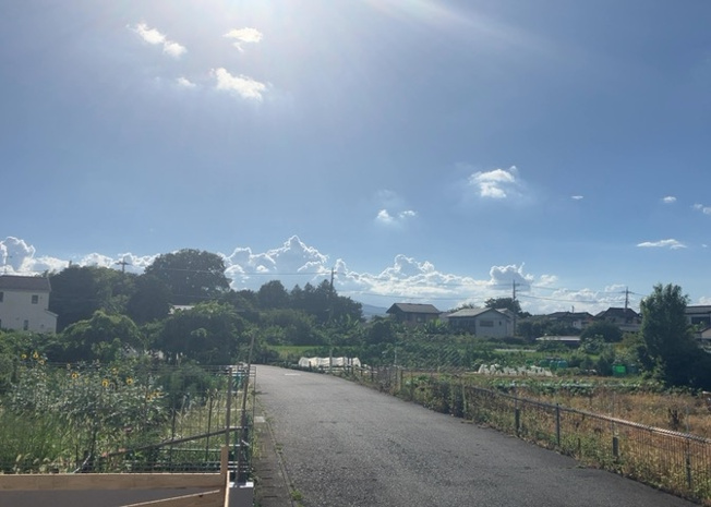 【展望】 | 桜や紅葉の名所に出かける人は多いと思いますが、家にいながら季節の移ろいを感じる生活を送りませんか？リビングや窓から見える景色が生活を彩るワンポイントに！現地から見える景色を堪能してみては如何でしょう。