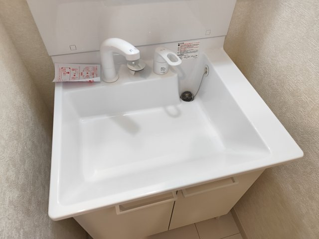 サザンロード新小岩Ⅱの洗面所