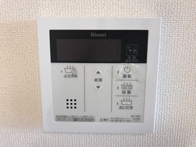 サリエンテ・アカツカのその他