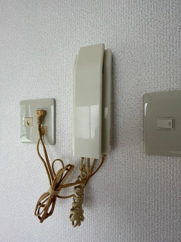 サンタウン林のセキュリティ