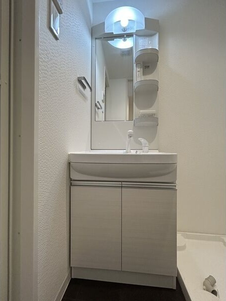 S-RESIDENCE堀田の洗面所