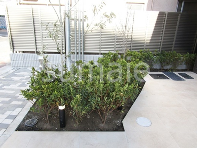 ブライズ王子のその他|綺麗な植栽です！