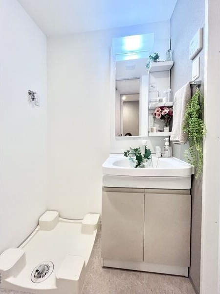 S-RESIDENCE堀田駅前futurの洗面所