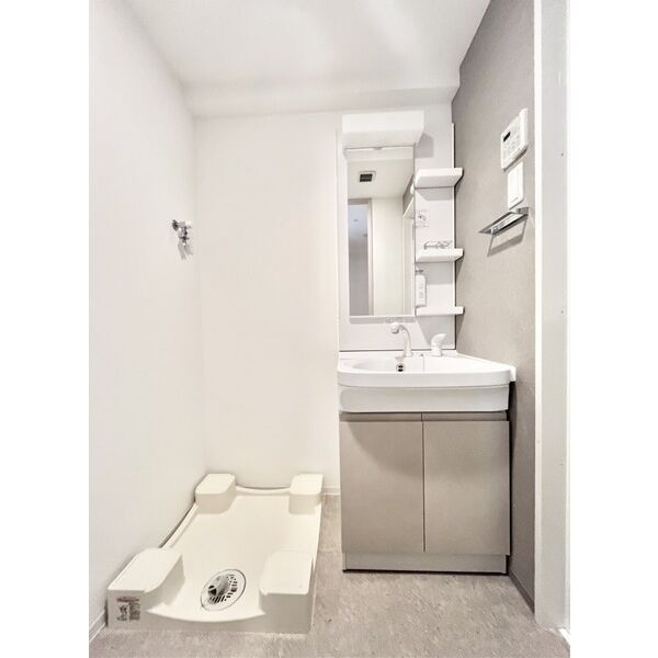 S-RESIDENCE堀田駅前futurの洗面所