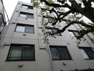 MAXIVbasic大鳥居の画像