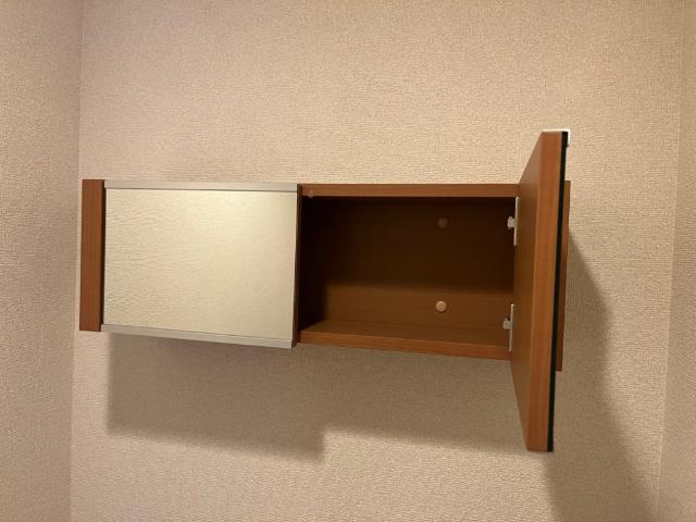 熊本市中央区上水前寺１丁目の賃貸マンションのその他|トイレ収納