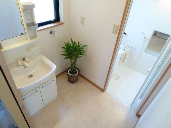 クレスト弐番館の洗面所