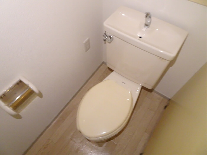 メゾンドラフィネ宮下のトイレ|コンパクトで使いやすいトイレです