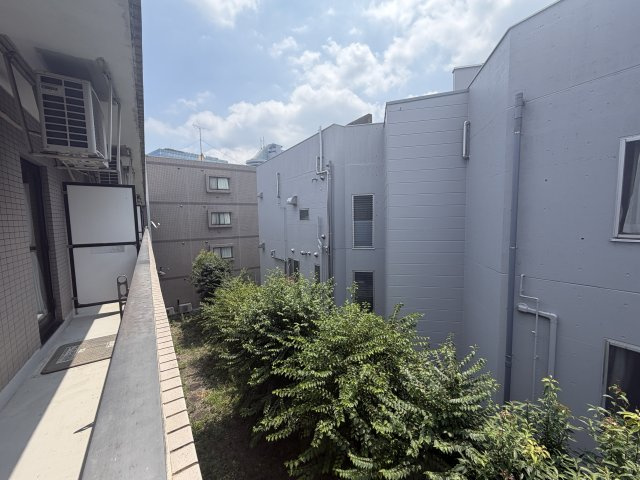【展望】