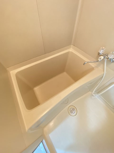飛鳥グランドパレスの浴室