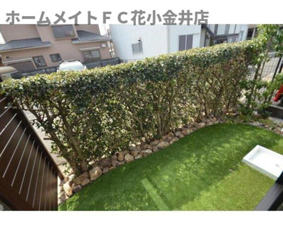 【庭】 | 岩蓮華