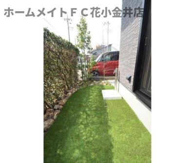 【庭】 | 岩蓮華