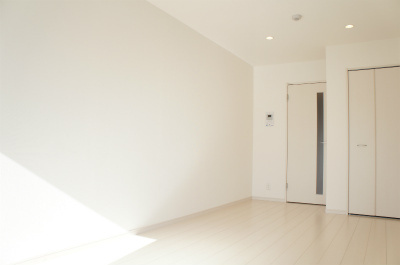 リブリ・ラム ワイヤーのその他