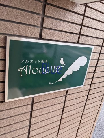 【その他】 | アルエット湘南