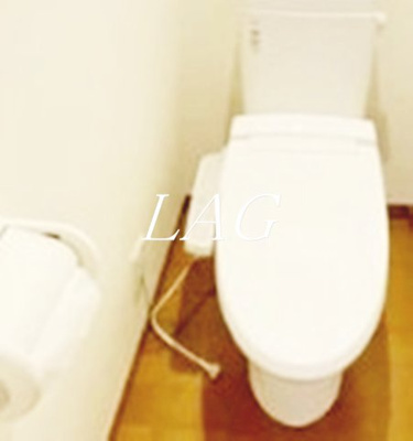 【トイレ】 | ソレイユワシオ六番館Ⅱ | トイレです。