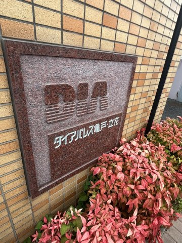 ダイアパレス亀戸・立花のその他