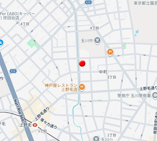パストラルハイム上野毛のその他