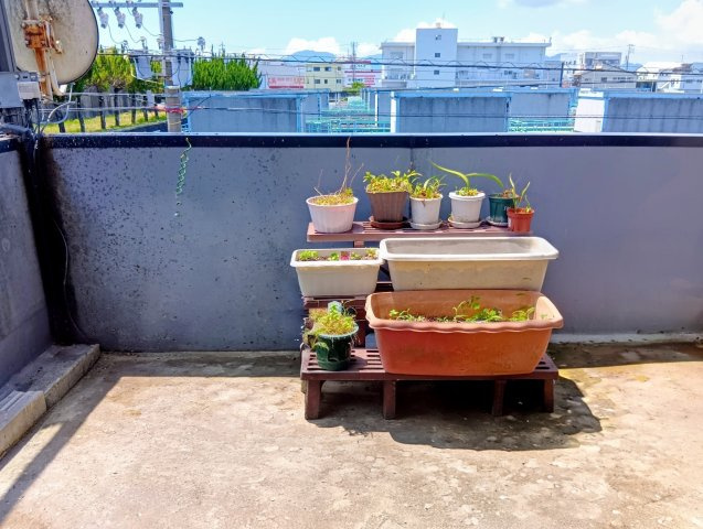 【その他】の画像