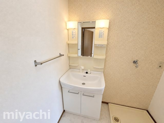 コスモタウン　Cの洗面所