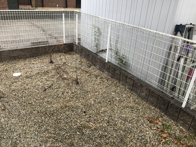 サウスヒル　Ａ棟の庭|専用庭