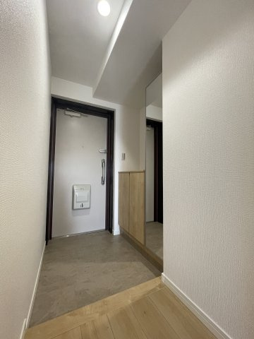 アンピール第２高木の玄関|トールタイプの下足入れ（姿見付き）。小物も飾れるカウンター付