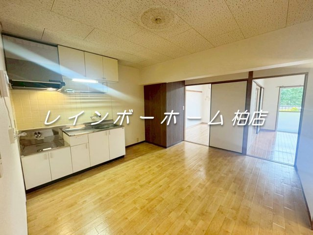 特典：仲介手数料が無料です!!のキッチン|キッチンでお料理をお楽しみください