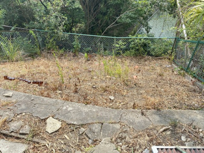 【庭】 | 学園大和町4丁目戸建