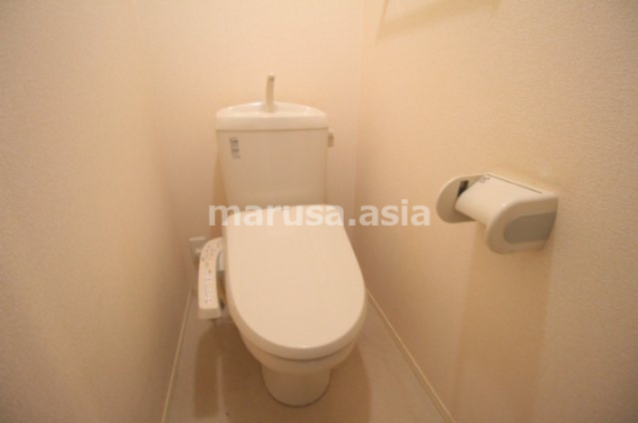D-room加納B棟のトイレ