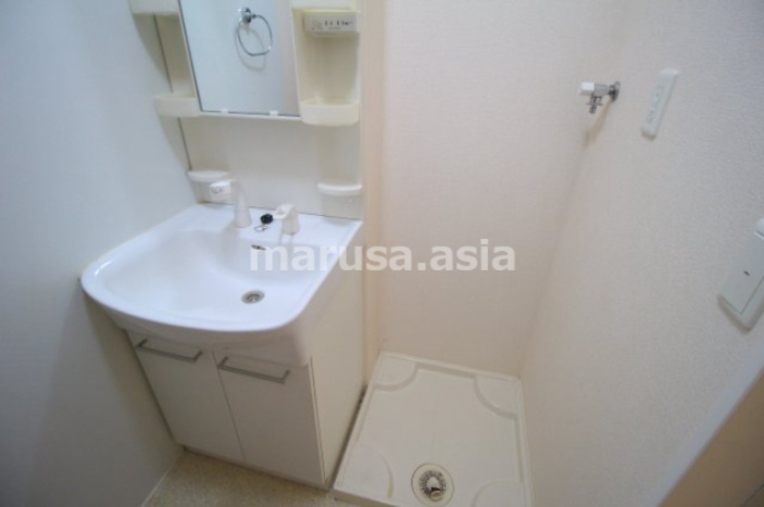 D-room加納B棟の洗面所