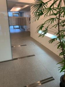 【その他】 | グランハイツ錦糸町